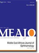 MEAJO Article Cover