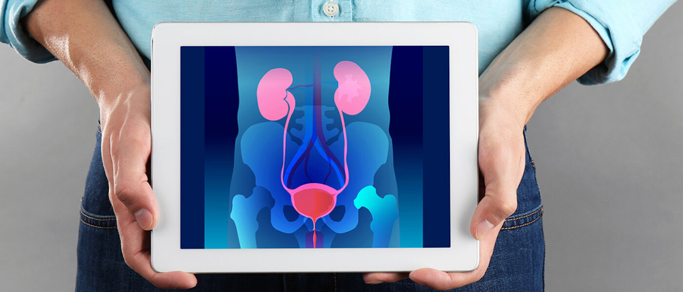 A tablet is held displaying a urology related animation